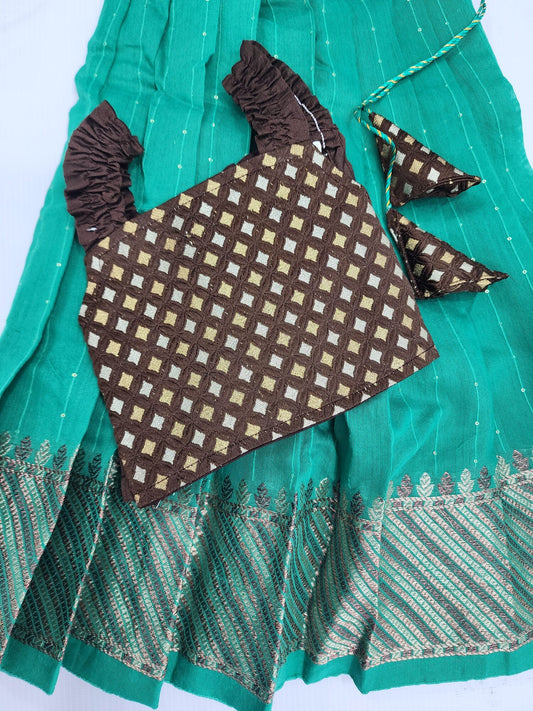 Green Chanderi Coffee Shirred Crop Top