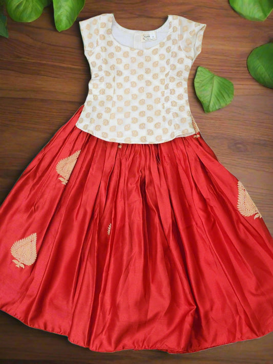 Red & White Banaras Lehenga Set
