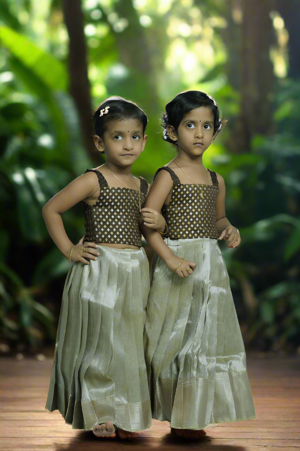 Tissue Lahenga with Banaras Blouse